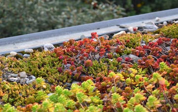 the cost of Lilliput green roof installation