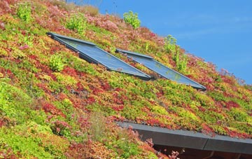 Lilliput living roof systems