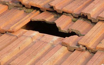 roof repair Lilliput, Dorset