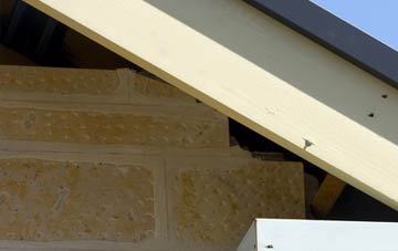 soffit repair Lilliput
