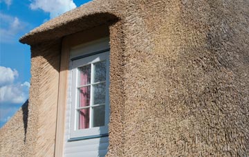 Lilliput thatch roof disadvantages