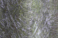 Lilliput fibreglass roof work